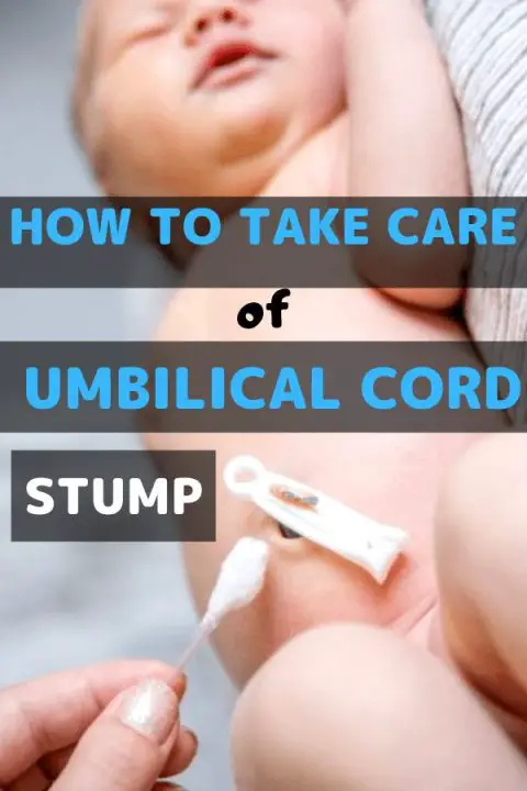 umbilical cord stump