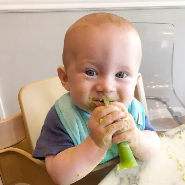 Baby food or led weaning