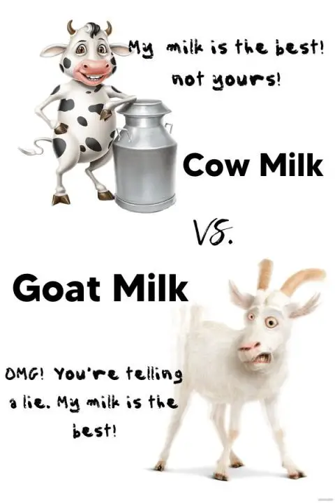 cow milk vs goat milk