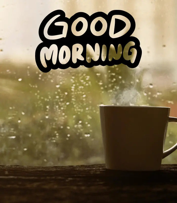 good morning rainy 
