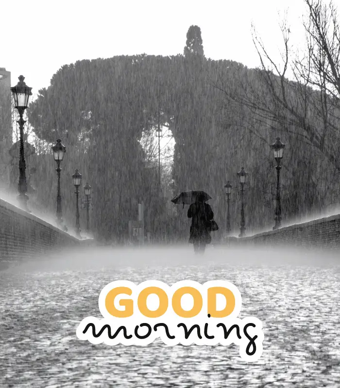 good morning on a rainy day 
