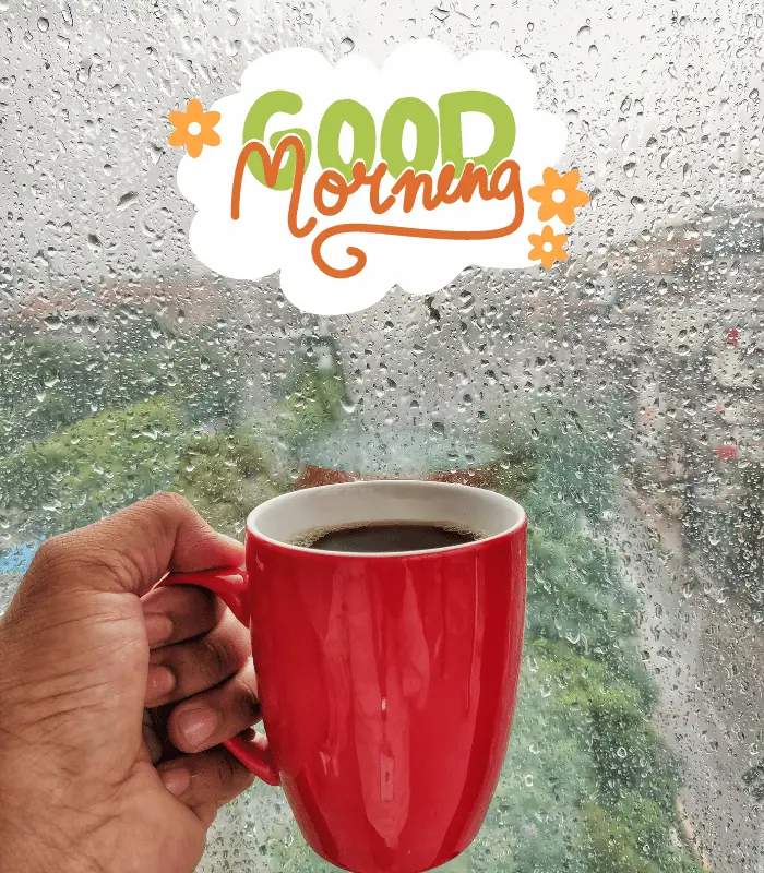 good morning rainy 
