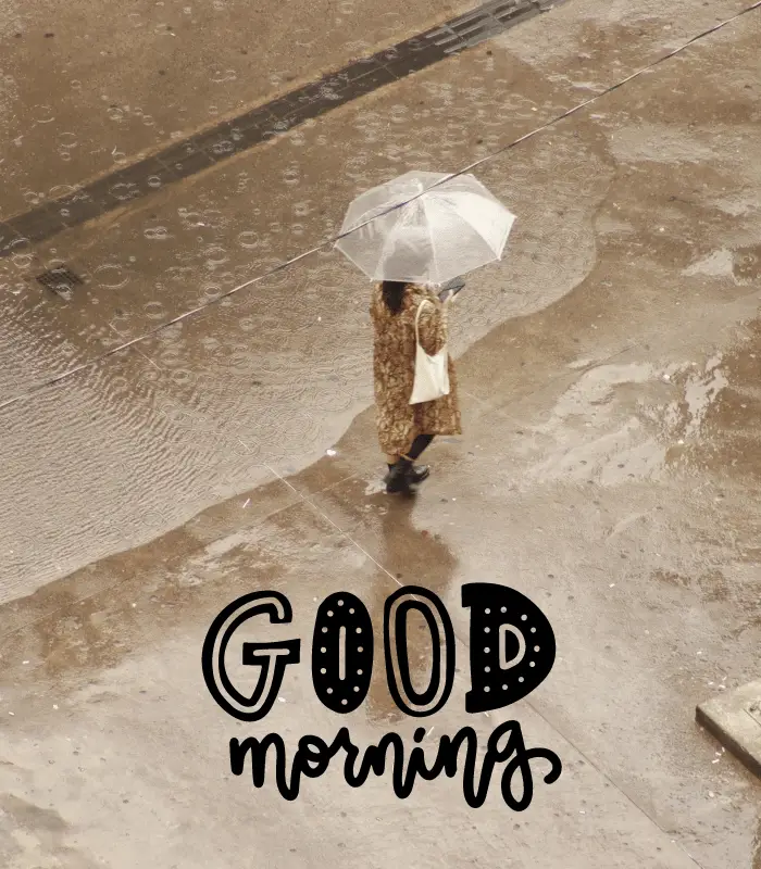 good morning rainy 
