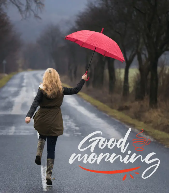 morning rainy day 