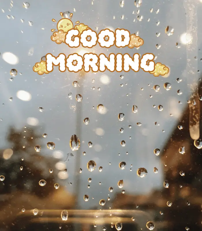 morning rainy day 