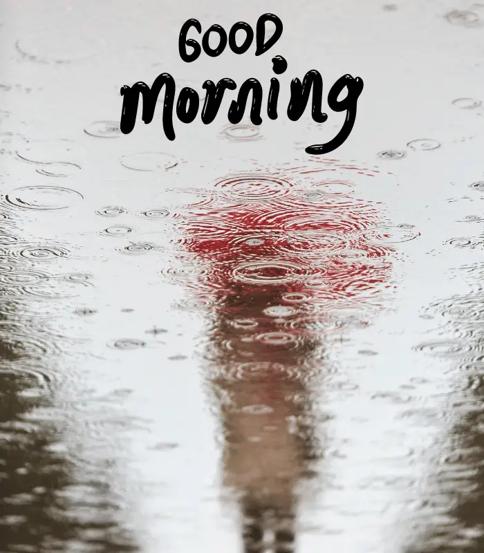 good morning with rain