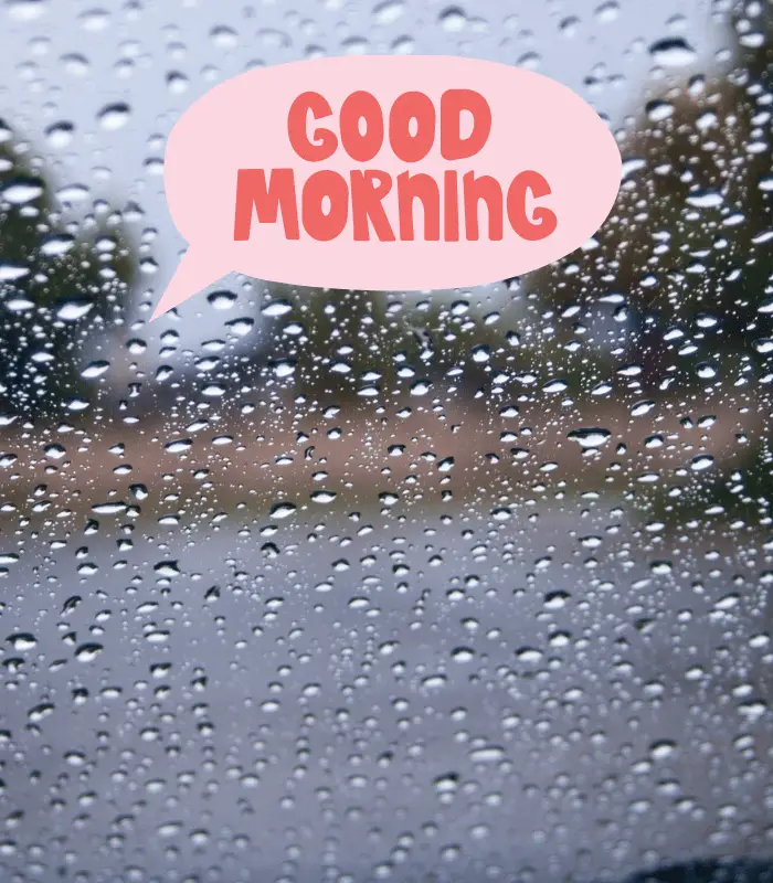 good morning on a rainy day 
