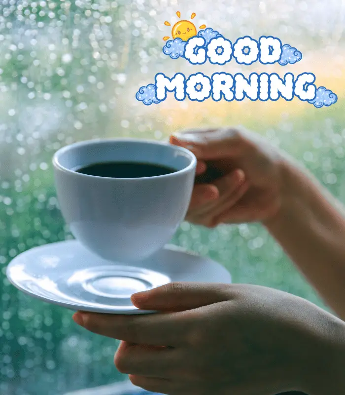 good rainy morning 
