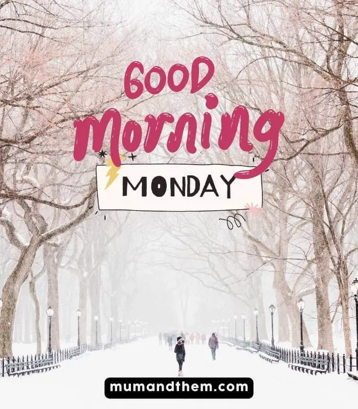 Good Morning Happy Monday Winter Images 