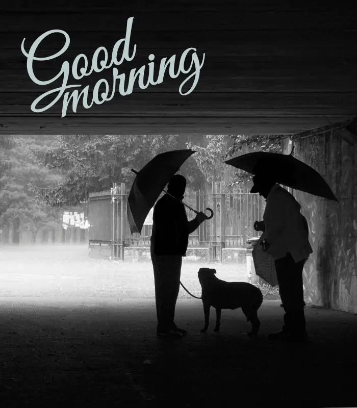 good morning rain