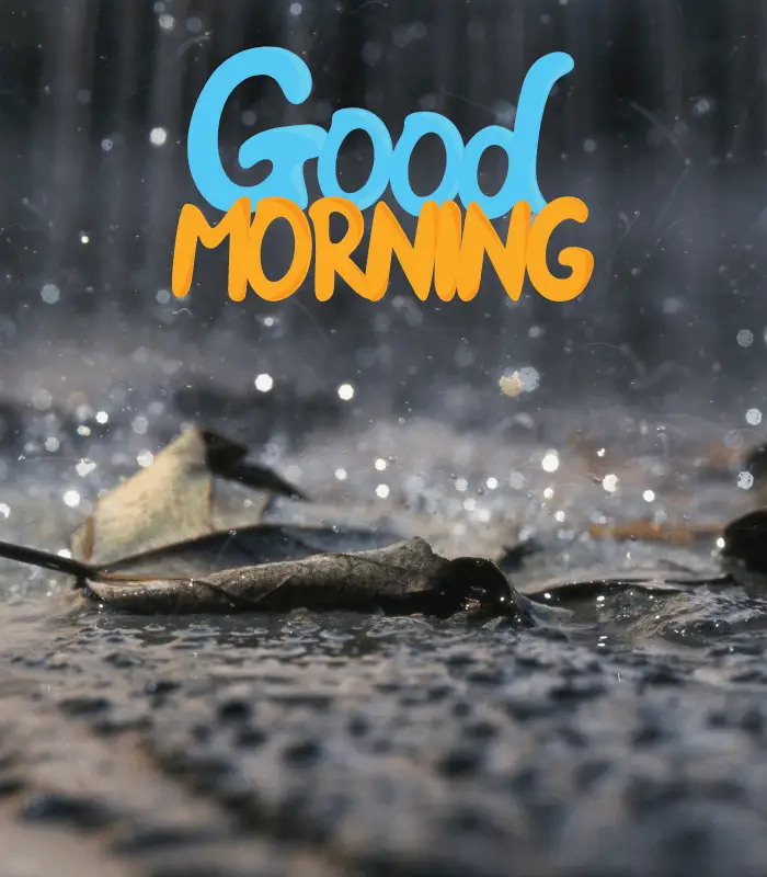 raining morning images 