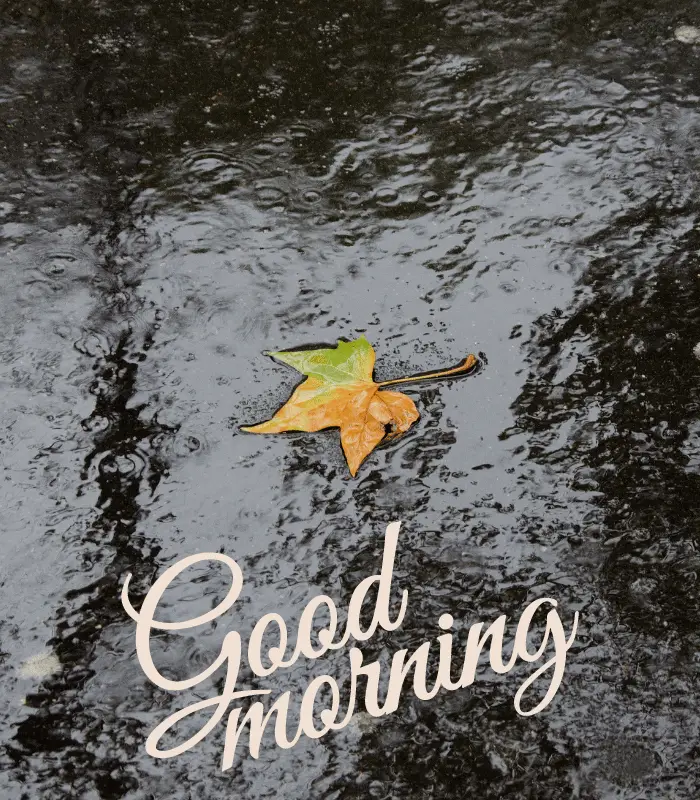 rainy good morning images 
