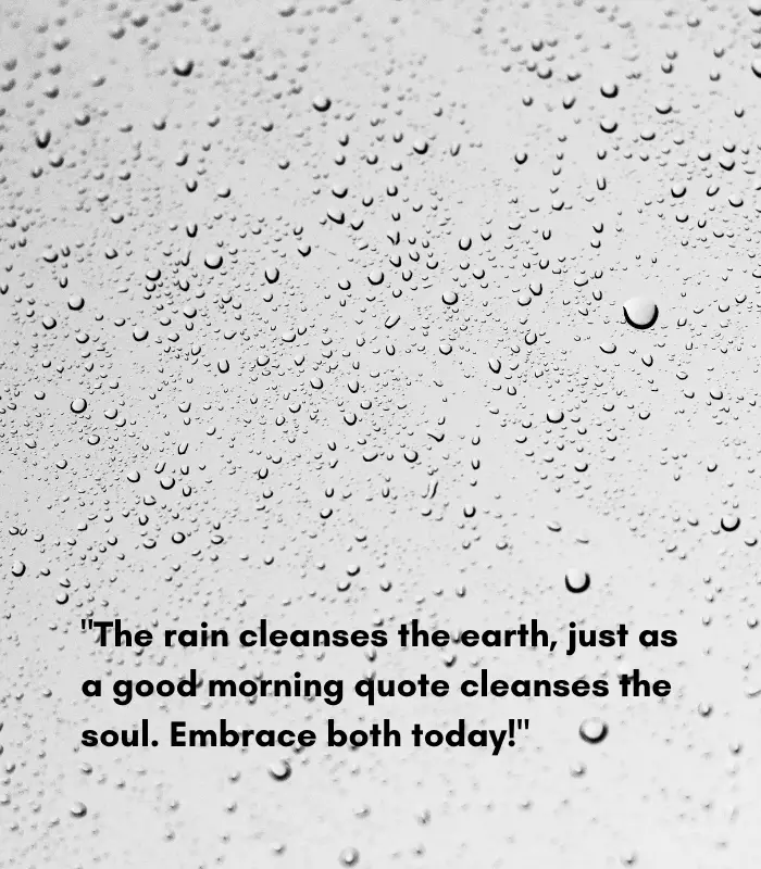 beautiful rainy morning quotes 