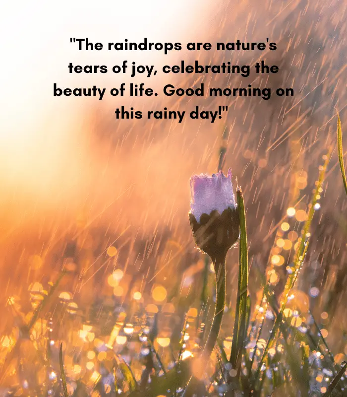 good morning quotes for a rainy day 
