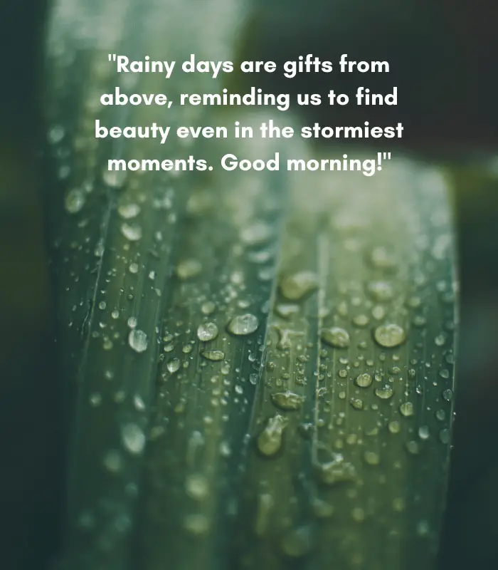 good morning quotes on a rainy day 
