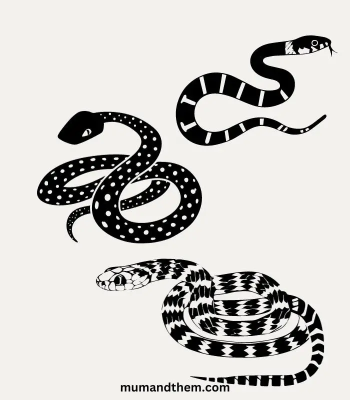 garter snake drawing ideas