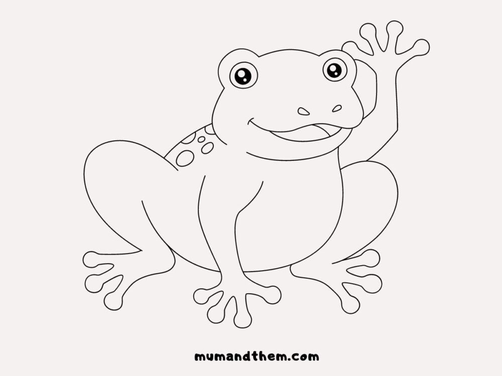 cute frog drawing tumblr