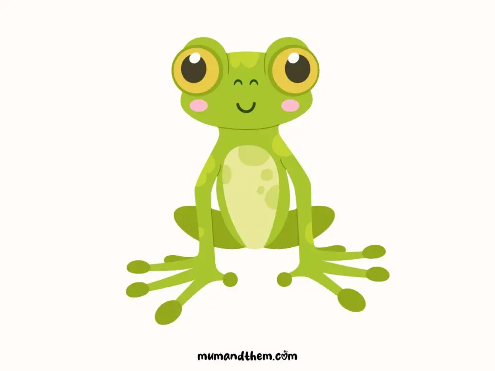 draw simple frog