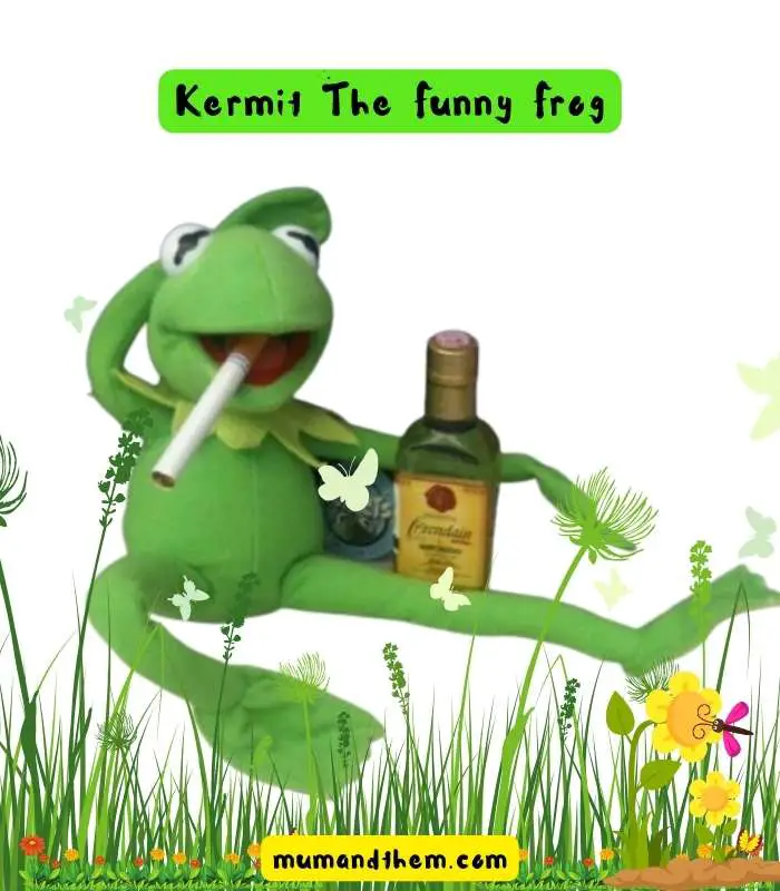 Kermitt the frog