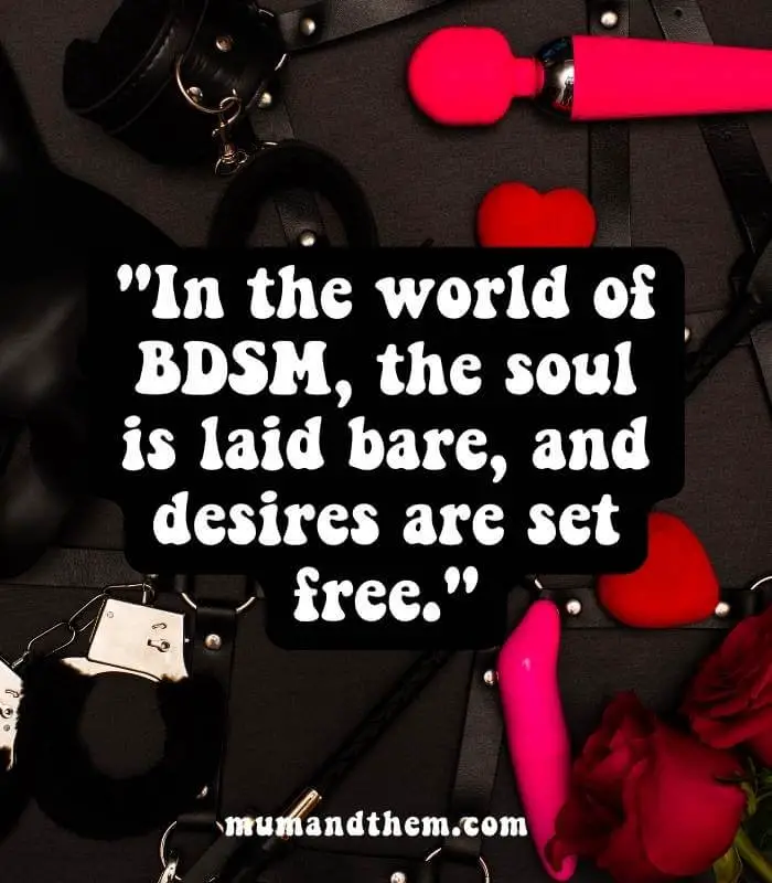 BDSM Quotes